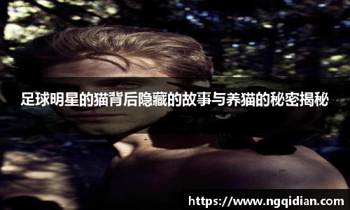 足球明星的猫背后隐藏的故事与养猫的秘密揭秘
